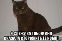  Я слежу за тобой! Аня сказала сторожить ее комп!