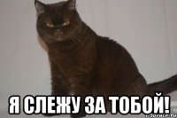  Я слежу за тобой!