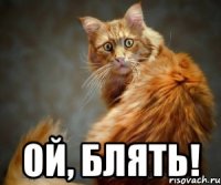  ой, блять!