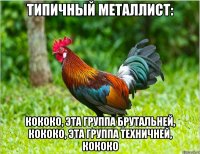 типичный металлист: кококо, эта группа брутальней, кококо, эта группа техничней, кококо