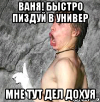 ваня! быстро пиздуй в универ мне тут дел дохуя
