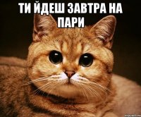 ти йдеш завтра на пари 