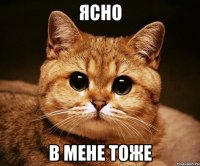 ясно в мене тоже