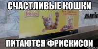 Счастливые кошки питаются Фрискисои