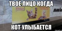 Твоё лицо когда кот улыбается