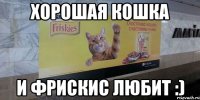 Хорошая кошка и Фрискис любит :)