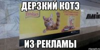 дерзкий котэ из рекламы