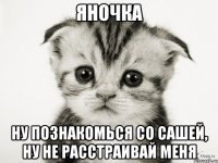 яночка ну познакомься со сашей, ну не расстраивай меня