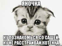 яночка ну познакомься со сашей, ну не расстраивай котенка