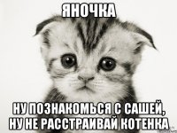 яночка ну познакомься с сашей, ну не расстраивай котенка