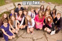 шушлик 