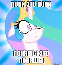 ПОНИ ЭТО ПОНИ ПОНЯШЫ ЭТО ПОНЯШЫ