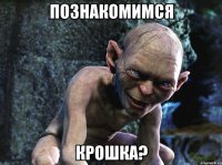Познакомимся Крошка?