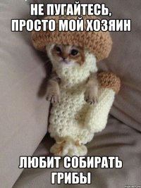 не пугайтесь, просто мой хозяин любит собирать грибы