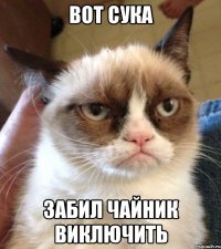 Вот сука Забил чайник виключить
