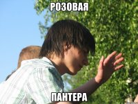 розовая пантера