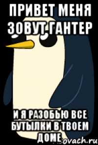 привет меня зовут гантер и я разобью все бутылки в твоем доме