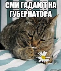 СМИ гадают на губернатора 