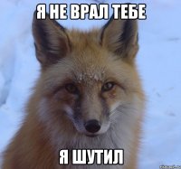 я не врал тебе я шутил