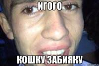 игого кошку забияку