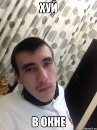 Хуй В окне