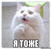  Я тоже