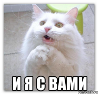  И я с вами