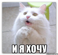  И я хочу
