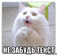  не забудь текст