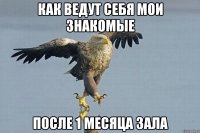 как ведут себя мои знакомые после 1 месяца зала