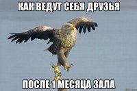 как ведут себя друзья после 1 месяца зала