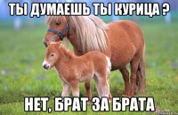 Ты думаешь ты курица ? Нет, брат за брата