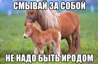 смывай за собой не надо быть иродом