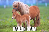  найди орла