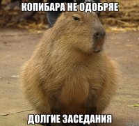 Копибара не одобряе Долгие заседания