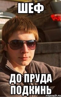 ШЕФ ДО ПРУДА ПОДКИНЬ