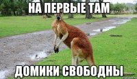 На первые там домики свободны