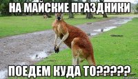 на майские праздники поедем куда то?????