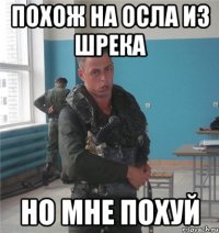 похож на осла из шрека но мне похуй
