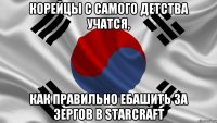 Корейцы с самого детства учатся, как правильно ебашить за зергов в Starcraft