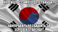 Корейцев с самого детства учат, как правильно ебашить за зергов в Starcraft