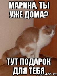 Марина, ты уже дома? тут подарок для тебя