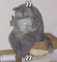 22 22