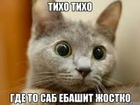тихо тихо где то саб ебашит жостко