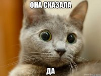 она сказала да