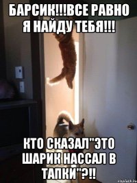Барсик!!!Все равно я найду тебя!!! Кто сказал"Это Шарик нассал в тапки"?!!