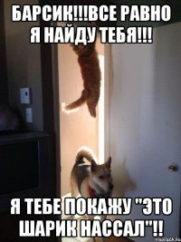 Барсик!!!Все равно я найду тебя!!! Я тебе покажу "Это Шарик нассал"!!