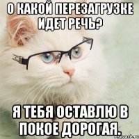 о какой перезагрузке идет речь? я тебя оставлю в покое дорогая.