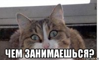  Чем занимаешься?
