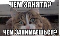 Чем занята? Чем занимаешься?